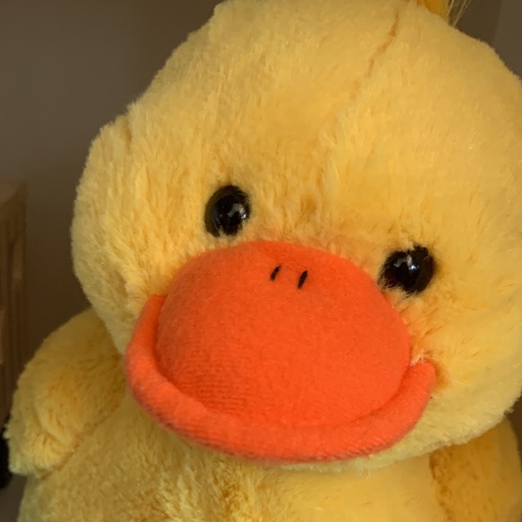 Meet your Posher, Joselin - Picture 1 of 1